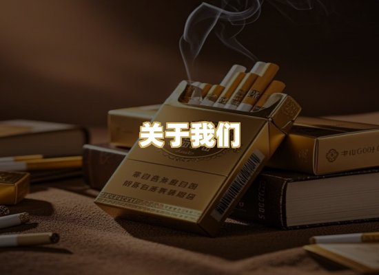 关于我们